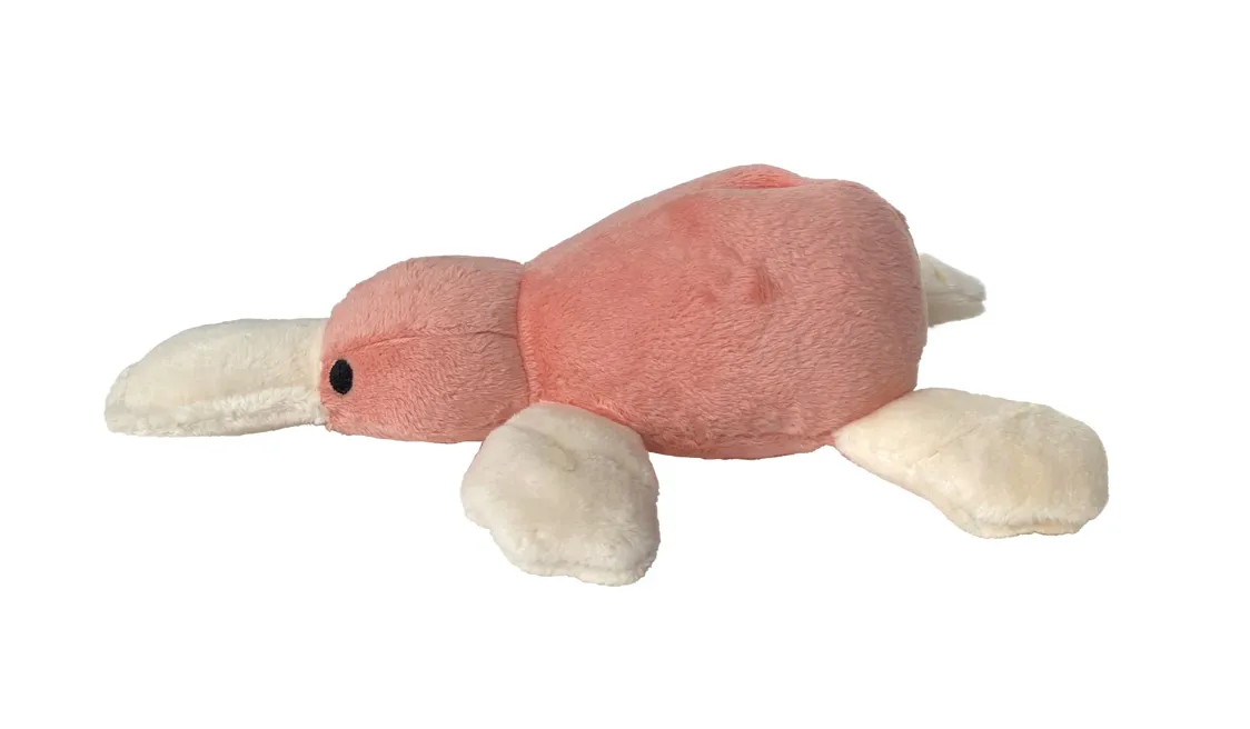 FouFouBrands Aussie Hide 'n Seek Plush Dog Toy - Platypus