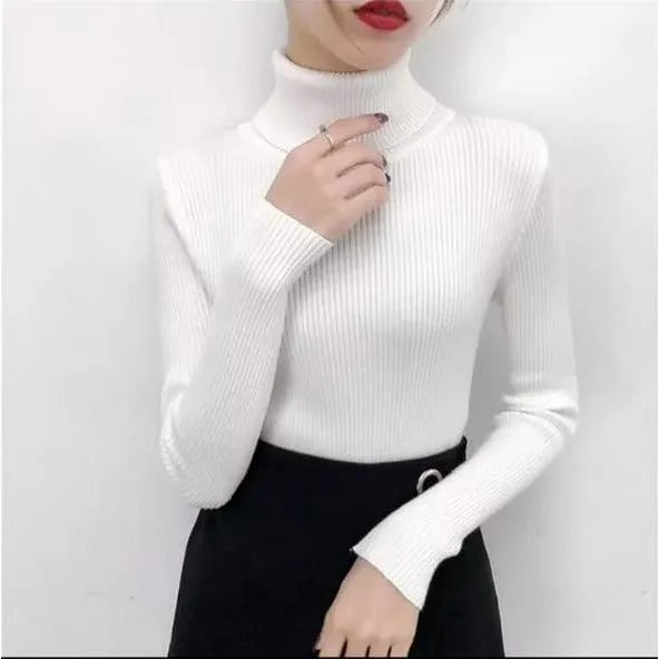 Turtleneck Sweater Polo Neck